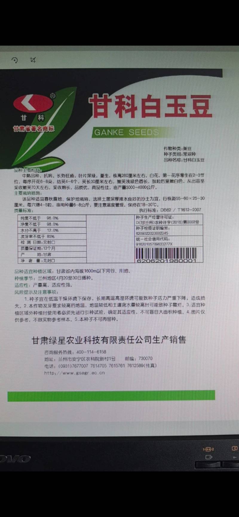 豆角种子