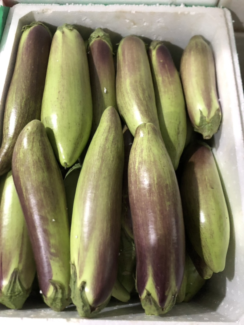 大条精品面包糯茄（冰川茄子）冰淇淋茄子