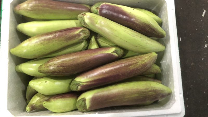 大条精品面包糯茄（冰川茄子）冰淇淋茄子