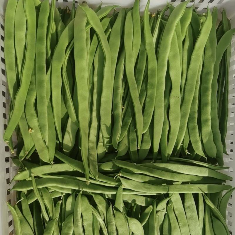 豆角大量