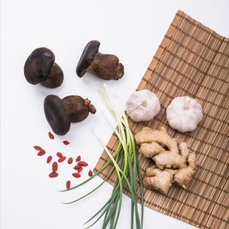 黑牛肝菌