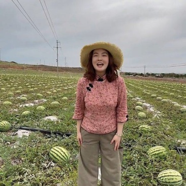 【精品】石头瓜硒砂瓜宁夏产地价格便宜质量保证