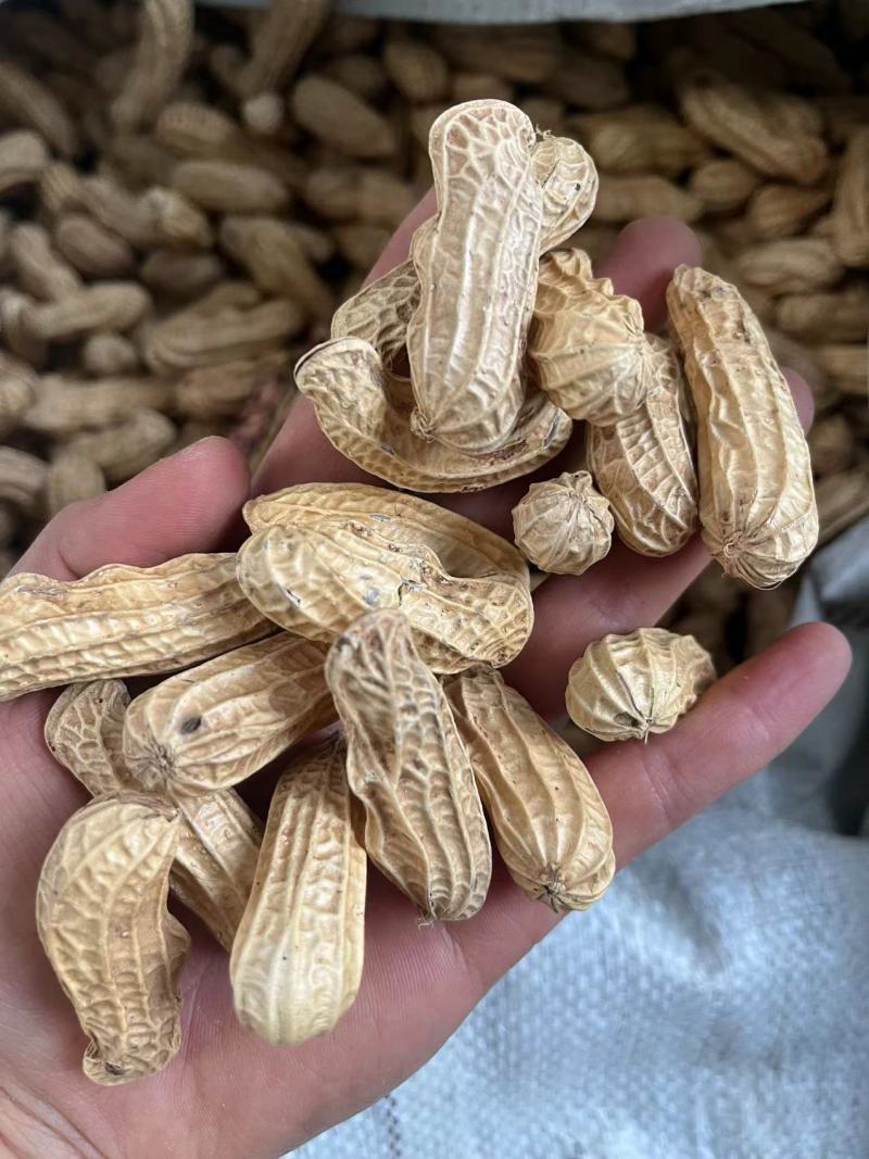 七彩花生花生米云南七彩花生一手货源