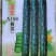 耐热抗病，油亮顺直，密刺，品质保障黄瓜种子