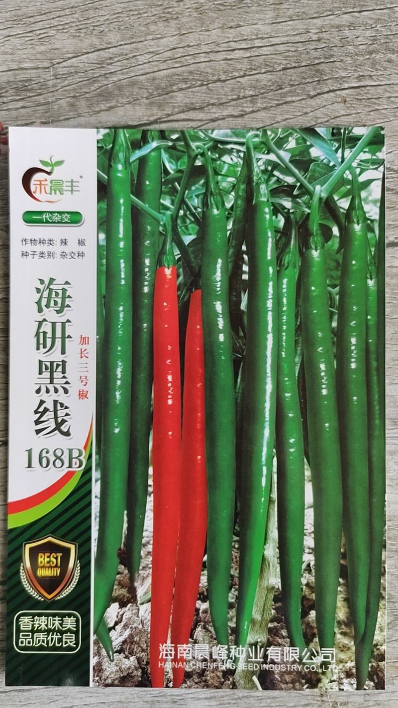 3号线椒种子，光滑顺直，高产抗病，品质保证厂家直销