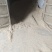 小麦壳