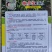 全新改良长把大果型朝天椒光滑顺直坐果能力强品质保证厂家发