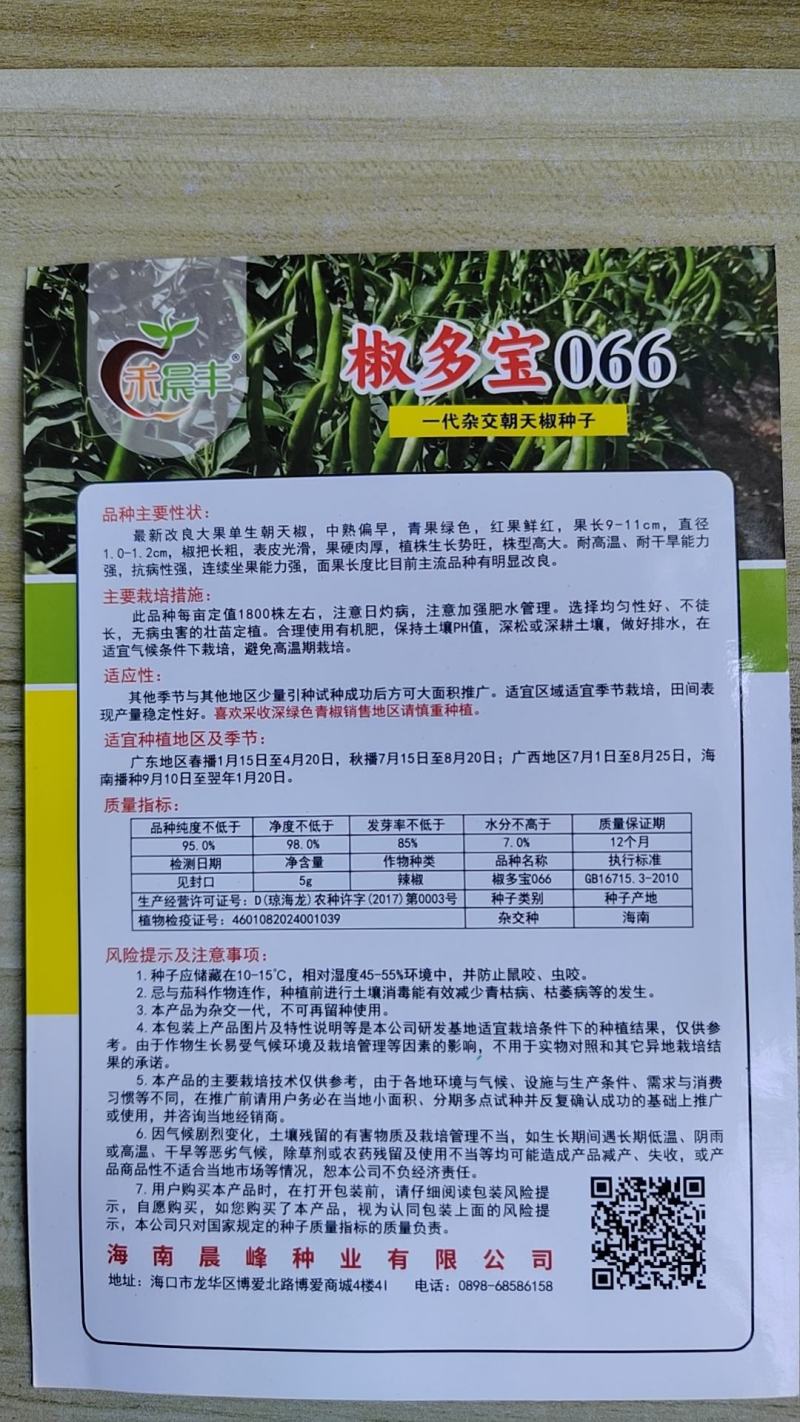 全新改良长把大果型朝天椒光滑顺直坐果能力强品质保证厂家发