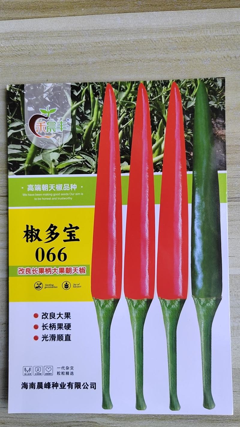 全新改良长把大果型朝天椒光滑顺直坐果能力强品质保证厂家发