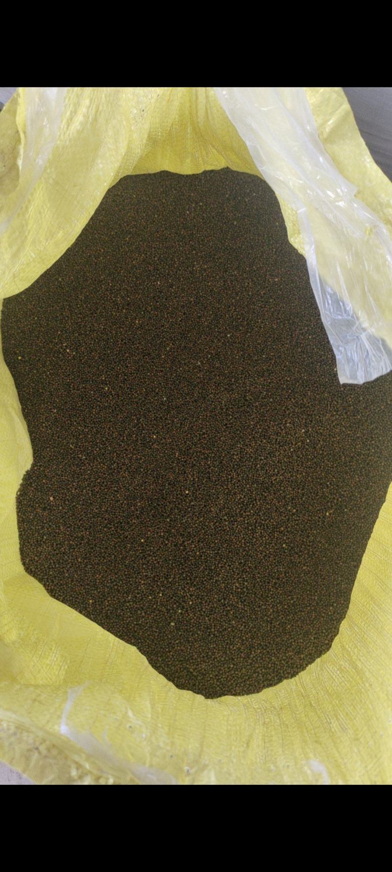 大量出售油精品菜籽，量大从优