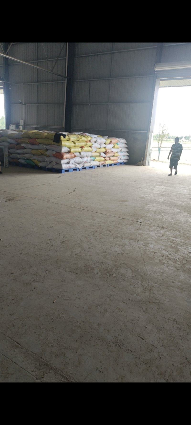 大量出售油精品菜籽，量大从优