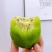 当季新鲜猕猴桃，支持电商一件代发整车批发