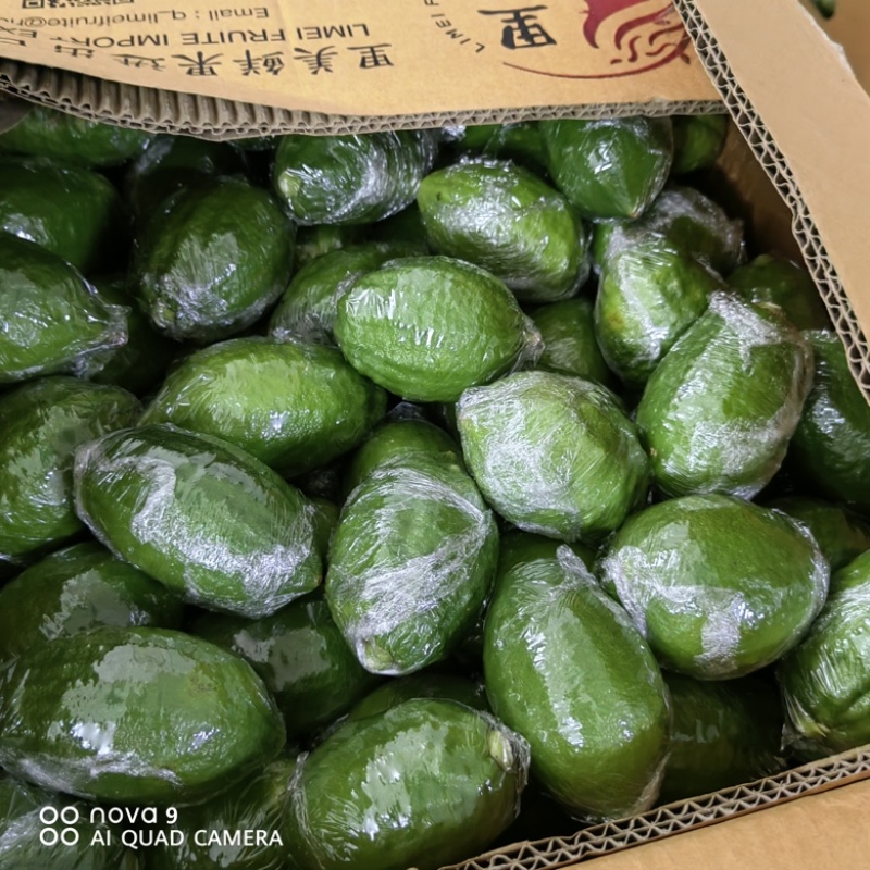 广东无籽香水柠檬自家基地欢迎联系接商超市场电商