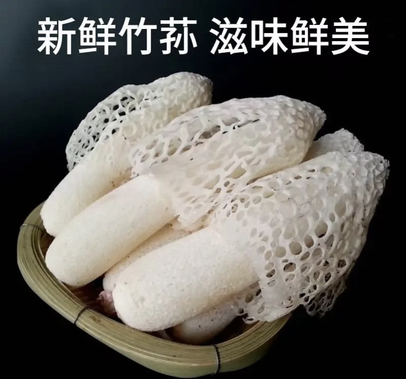 新鲜竹荪