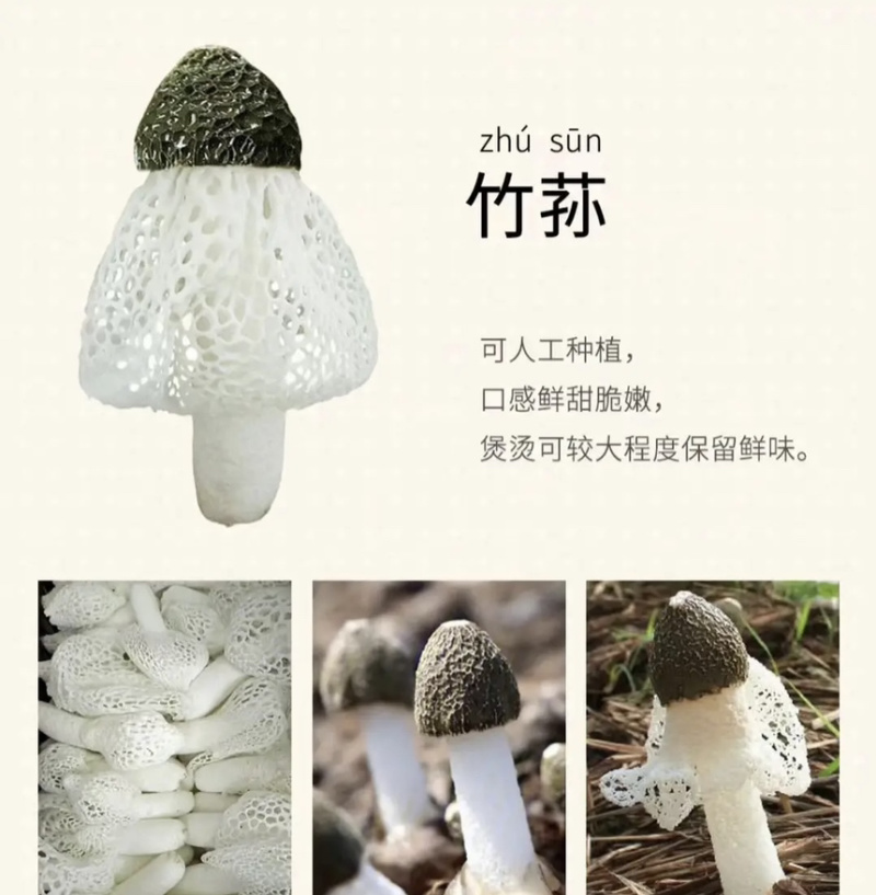 新鲜竹荪