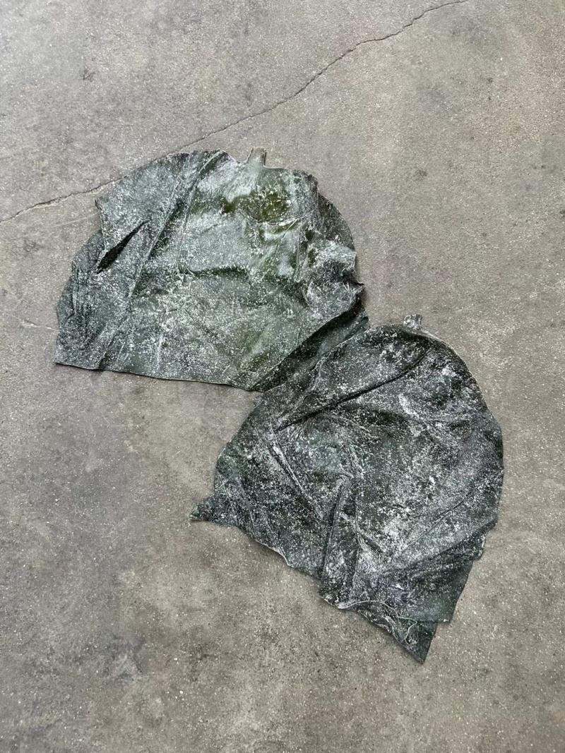 地摊展会火爆产品半干海带头，厂家直供，欢迎来电