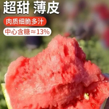 原棚小薄皮大红瓤鲜藤粗把美都无籽瓜质量三包保证