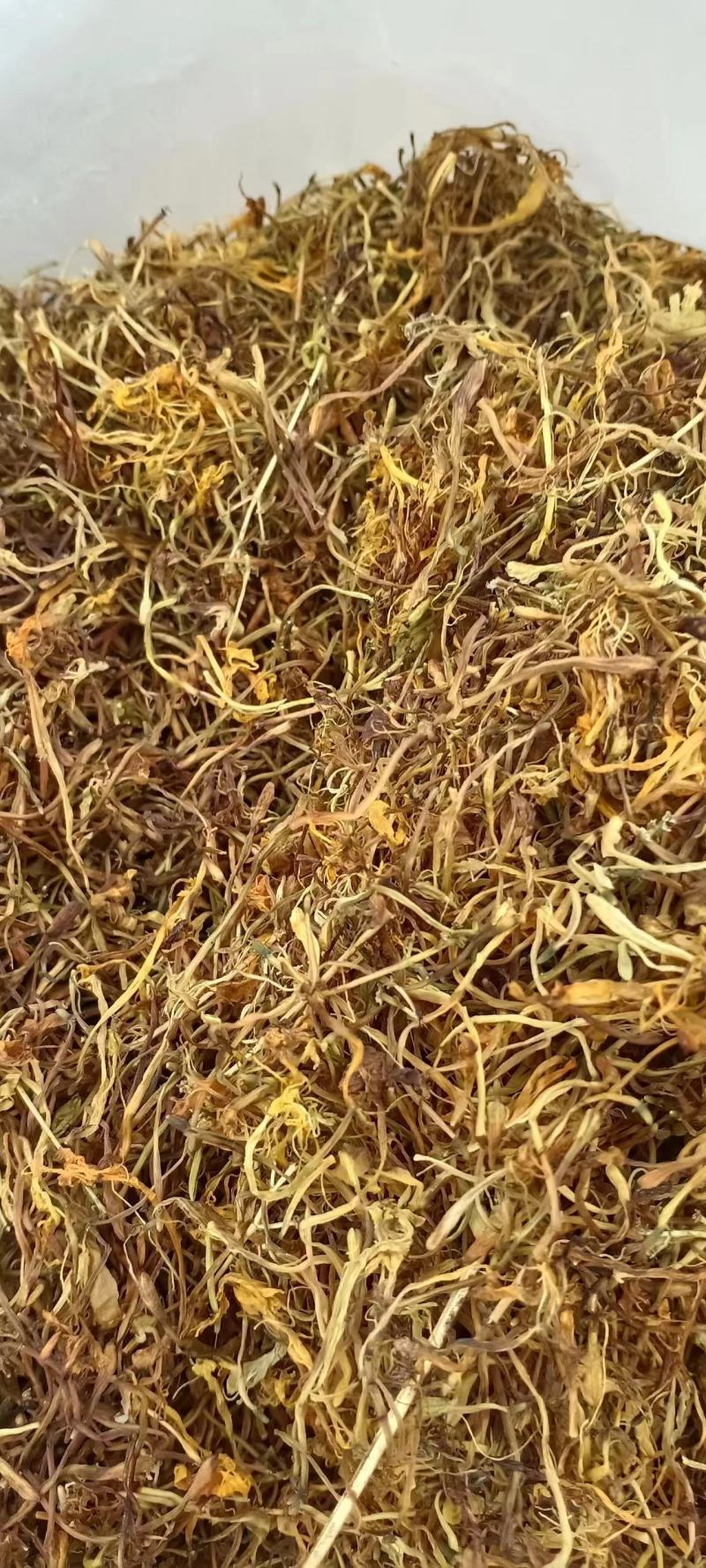 四季四季金银花（川花）原产地直销