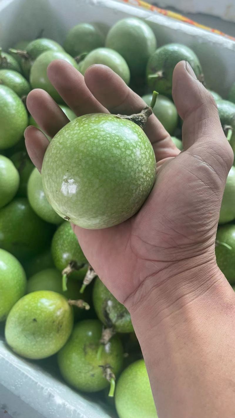 阳西县百香果大量上市，一手货源，量大从优，欢迎订购！！！