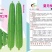 早熟耐热花点丝瓜头尾均匀肉质厚实细嫩品种保证厂家直发