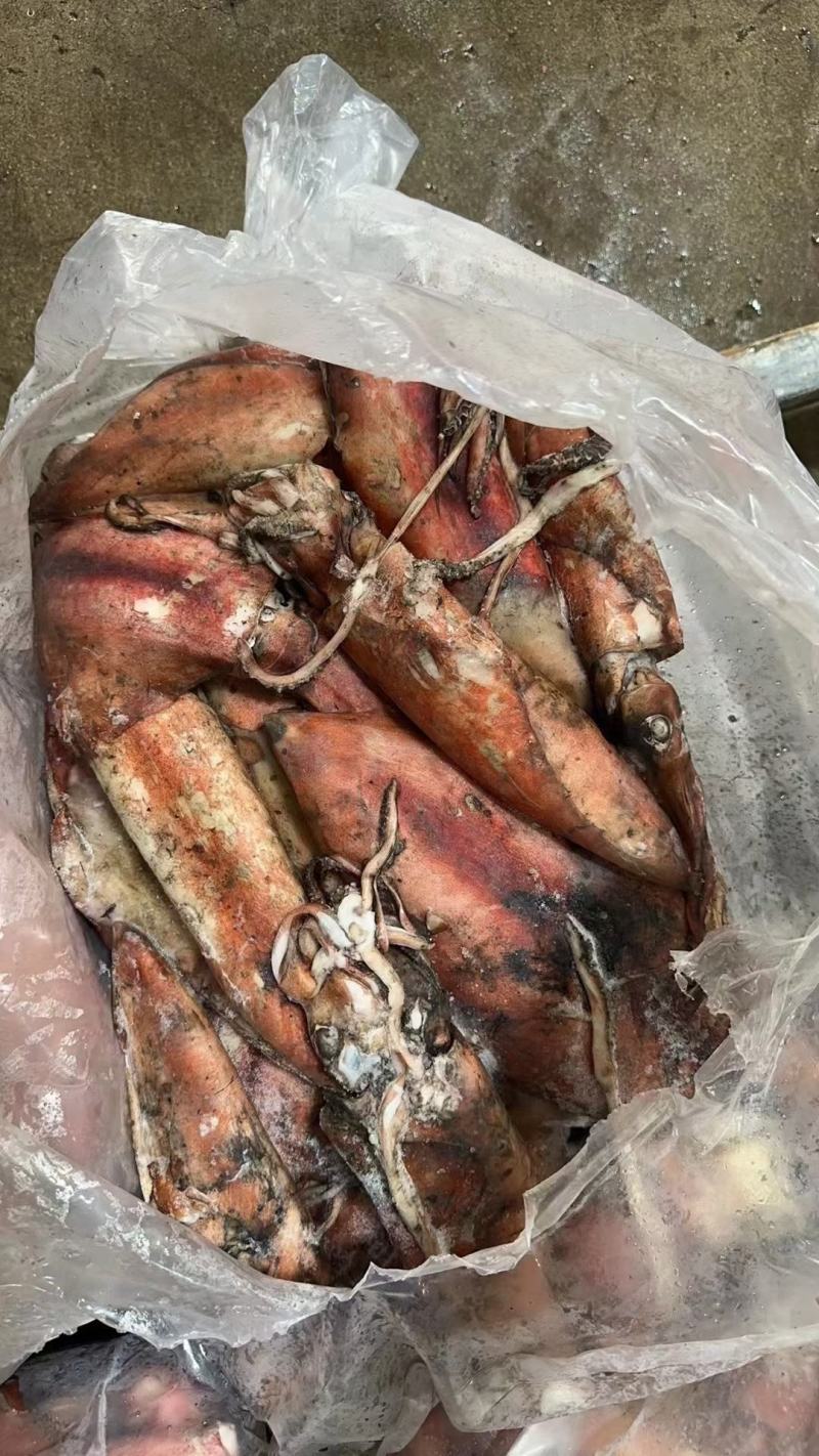 红鱿鱼的肉质嫩滑且有弹性，口感浓郁，味道鲜美。欢迎进店选