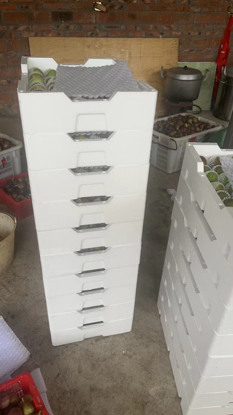 精品无花果产地发货供应各大电商市场可视频看货