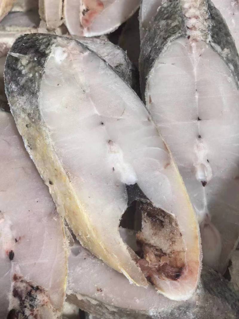 精品马友鱼品质高口感好日贡货量大产地直发会员足