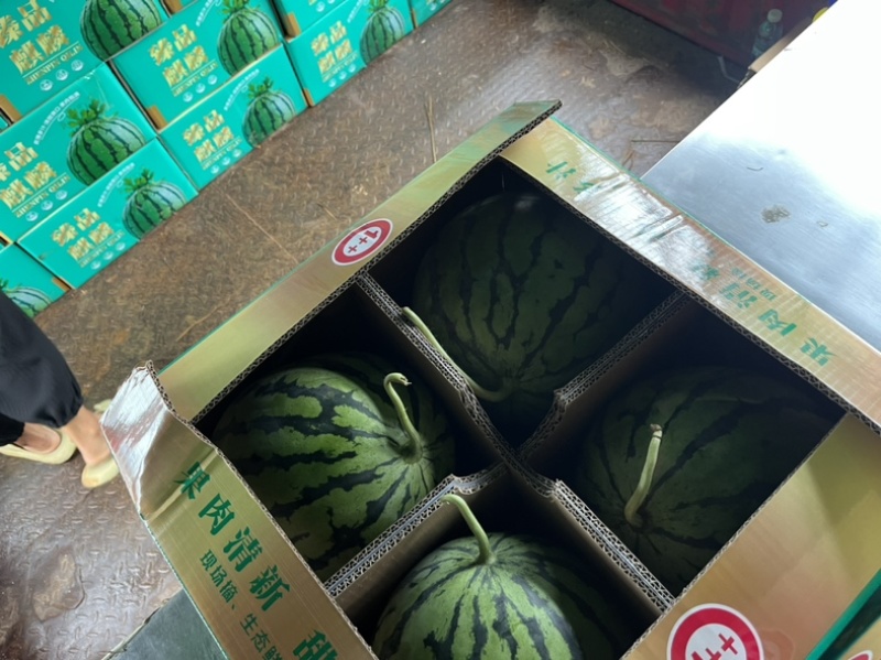 美都西瓜🍉、口感甜、糖度高、无奇型、代发全国各地