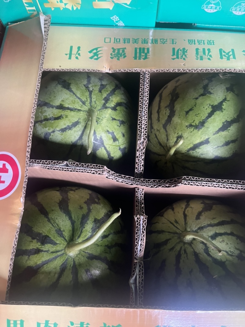 美都西瓜🍉、口感甜、糖度高、无奇型、代发全国各地
