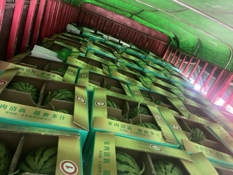 美都西瓜🍉、口感甜、糖度高、无奇型、代发全国各地