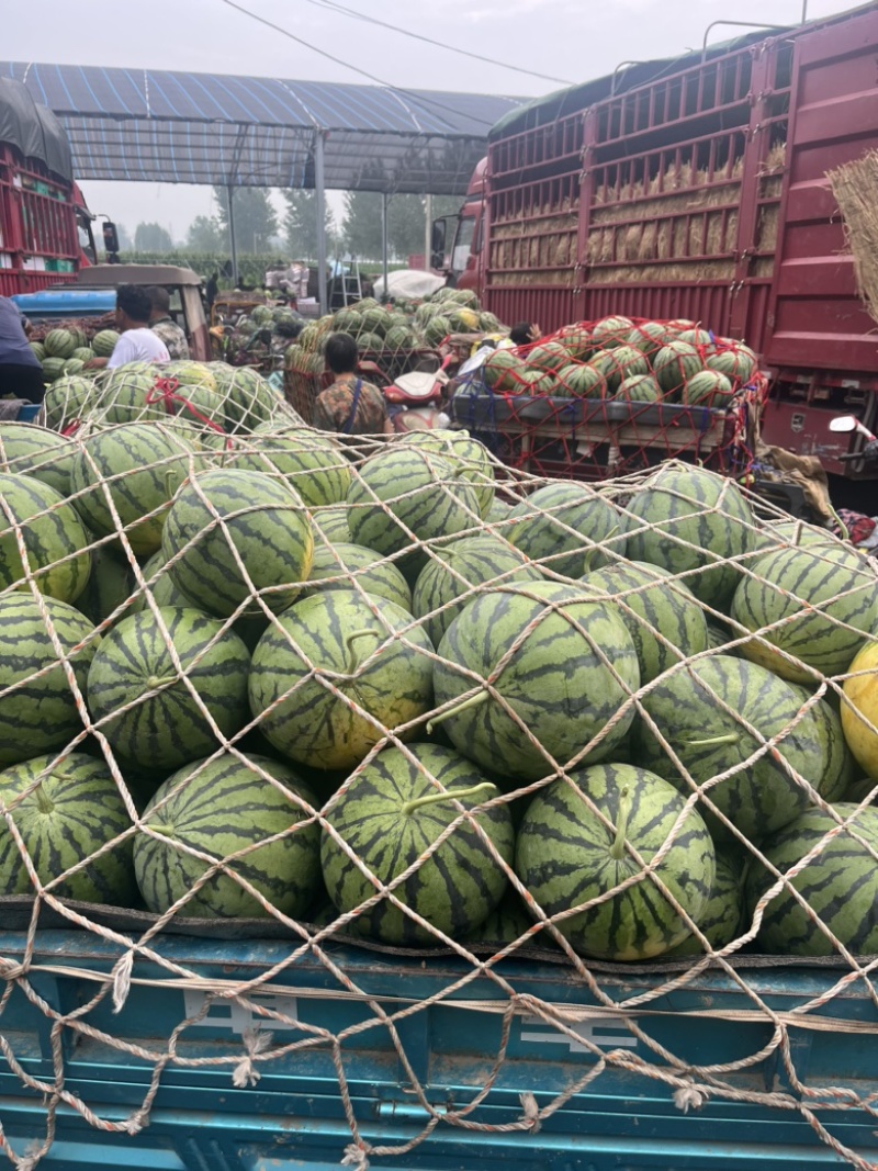 美都西瓜🍉、口感甜、糖度高、无奇型、代发全国各地