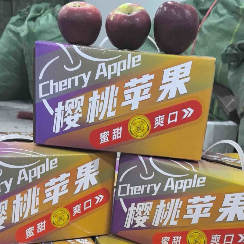 樱桃小苹果大量供应，爆品产地直供，保质保量