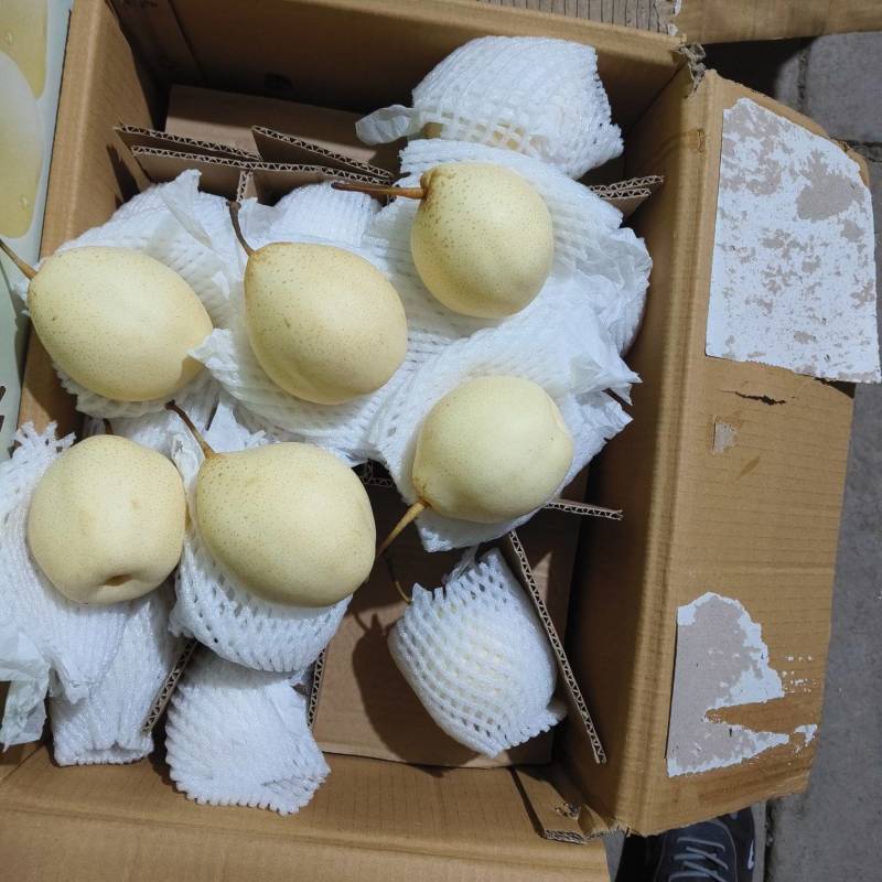 〔鸭梨〕货源充足长期供应商超出口贸易代发全国