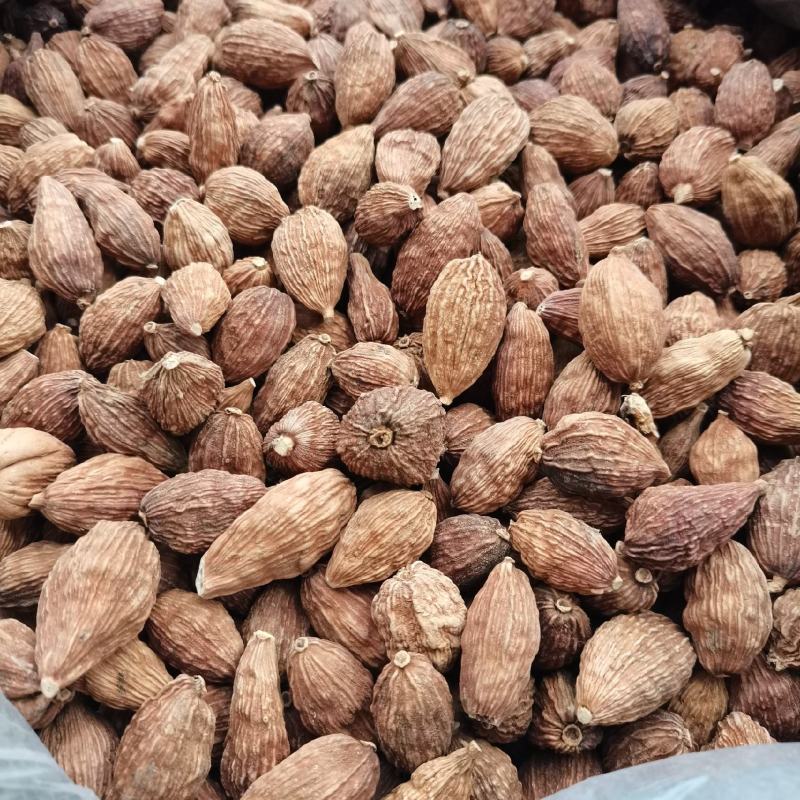 草果/云南怒江草果/辛香浓郁/个大饱满/好货，一手货源