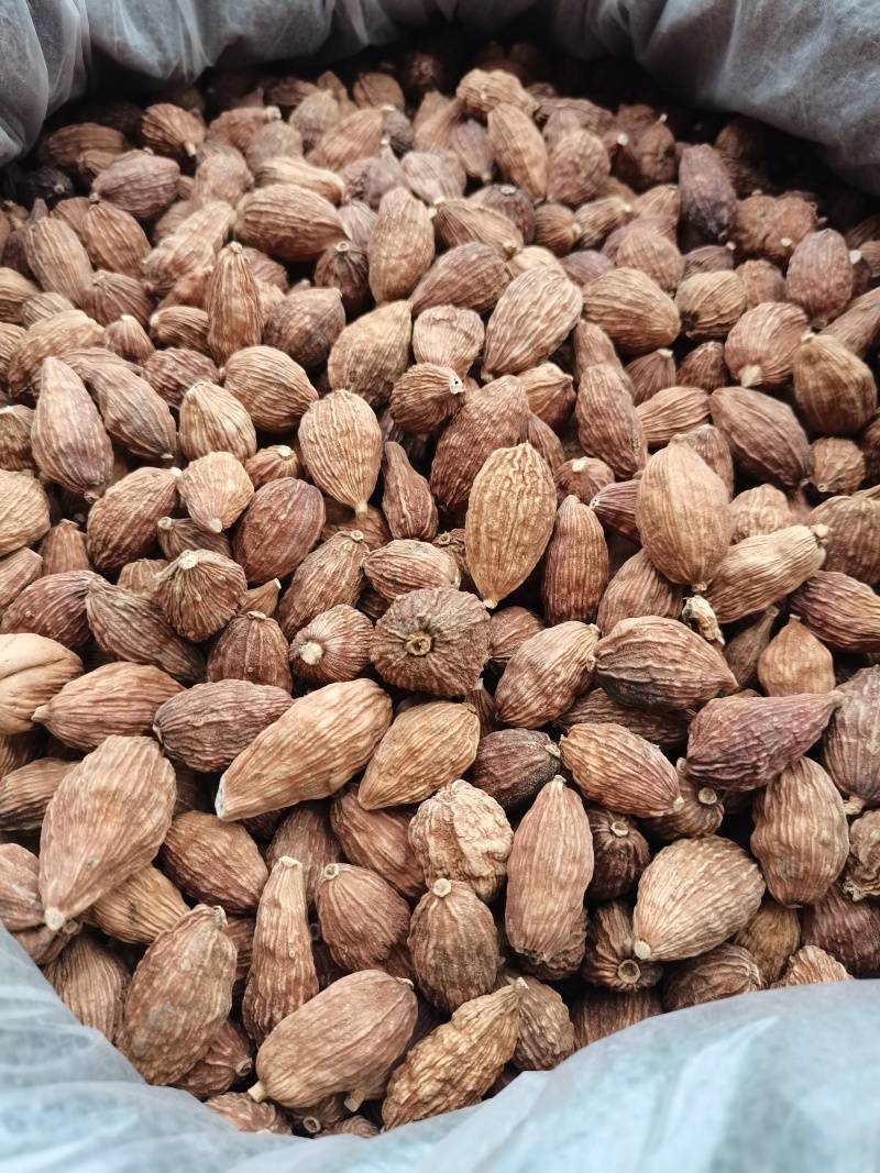 草果/云南怒江草果/辛香浓郁/个大饱满/好货，一手货源