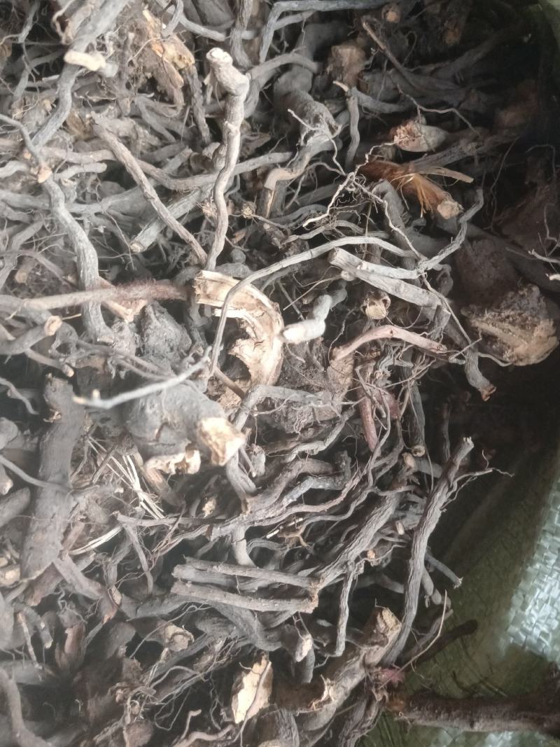 红毛悬钩子，悬钩根，