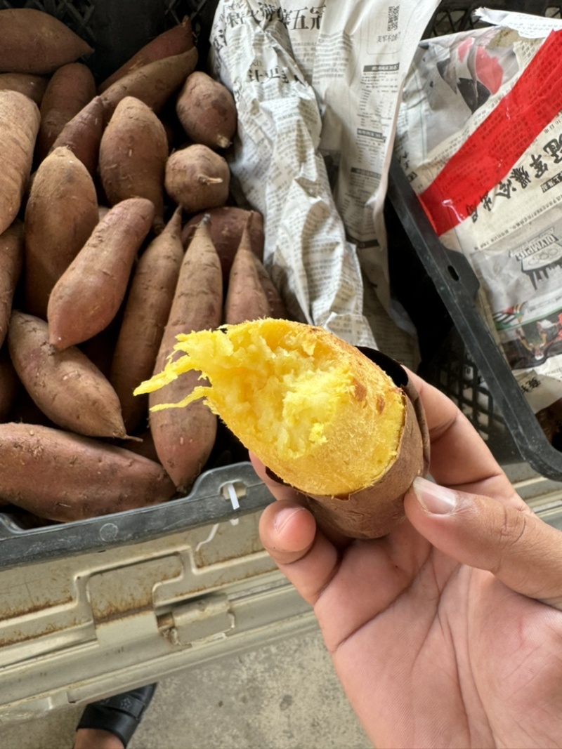榴莲蜜薯正宗玛莎莉红薯黄金蜜薯黄心软糯丝滑5斤装