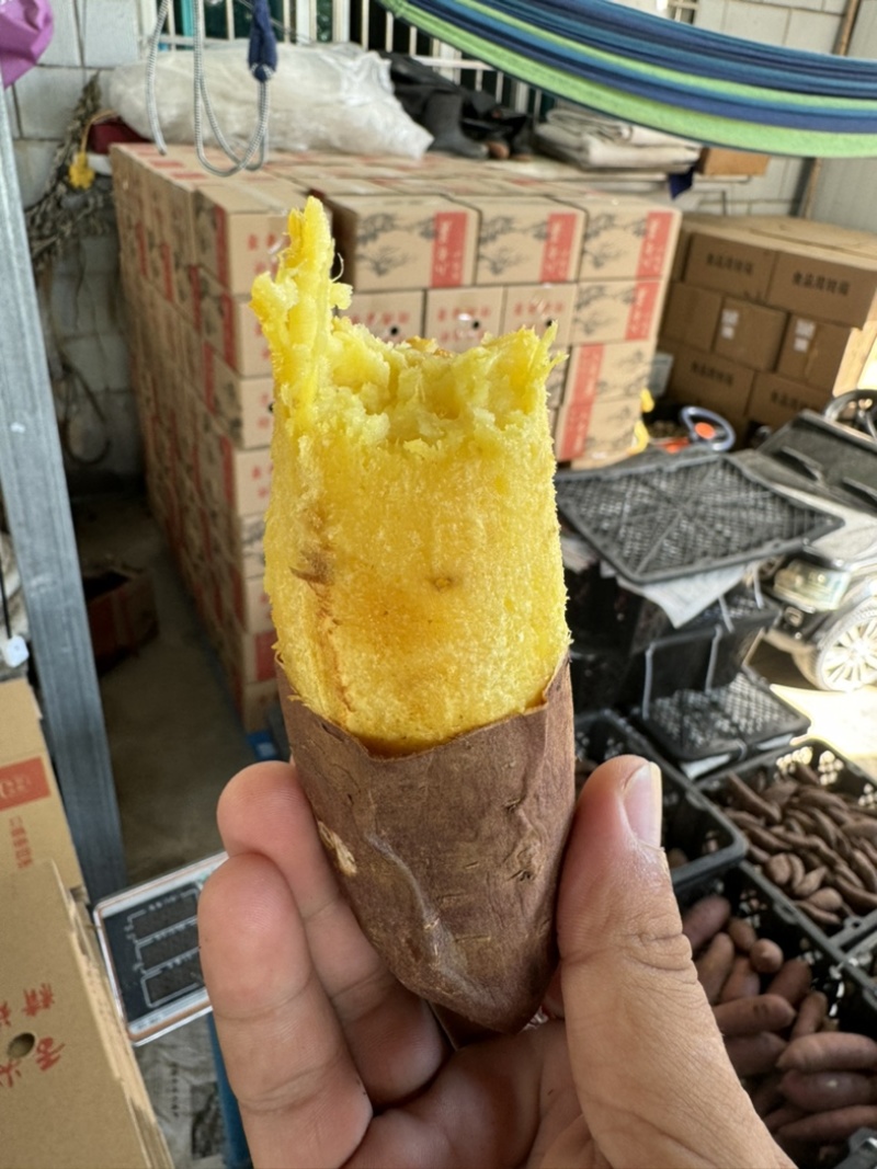 榴莲蜜薯正宗玛莎莉红薯黄金蜜薯黄心软糯丝滑5斤装