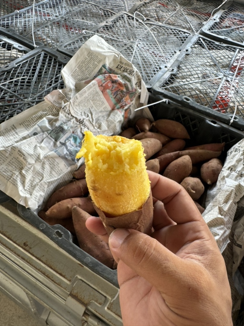 榴莲蜜薯正宗玛莎莉红薯黄金蜜薯黄心软糯丝滑5斤装
