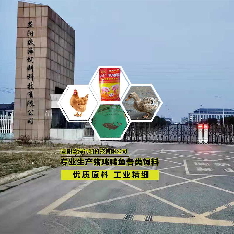 湖南肉鸡全价配合饲料爱吃肯长厂家直销80斤