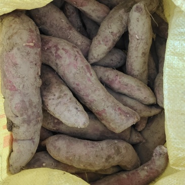 淡黄肉腾仔薯
