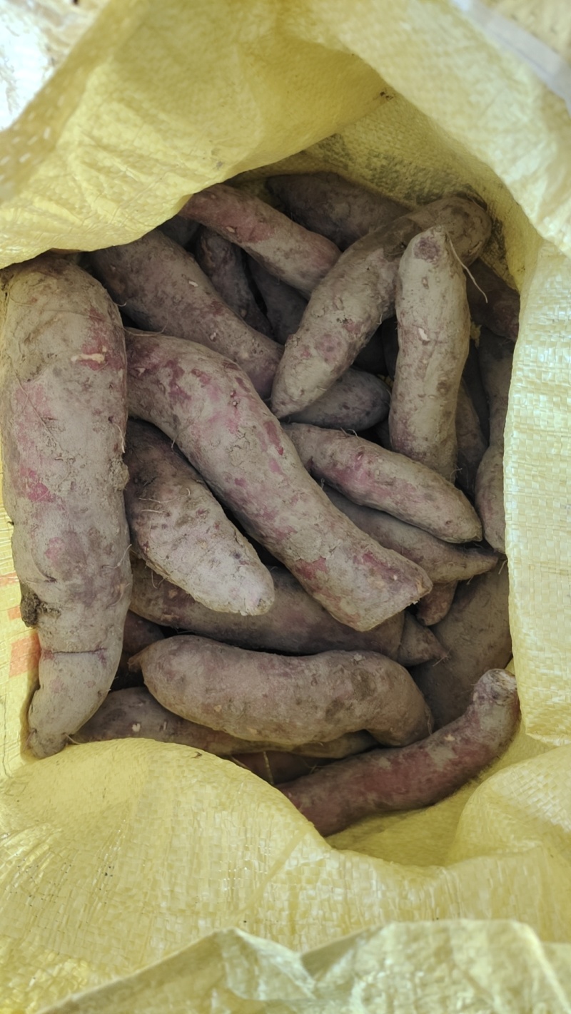 淡黄肉腾仔薯