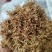 贵州金银花，晒花无硫，味香，己人工筛选