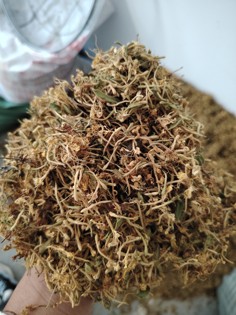 贵州金银花，晒花无硫，味香，己人工筛选