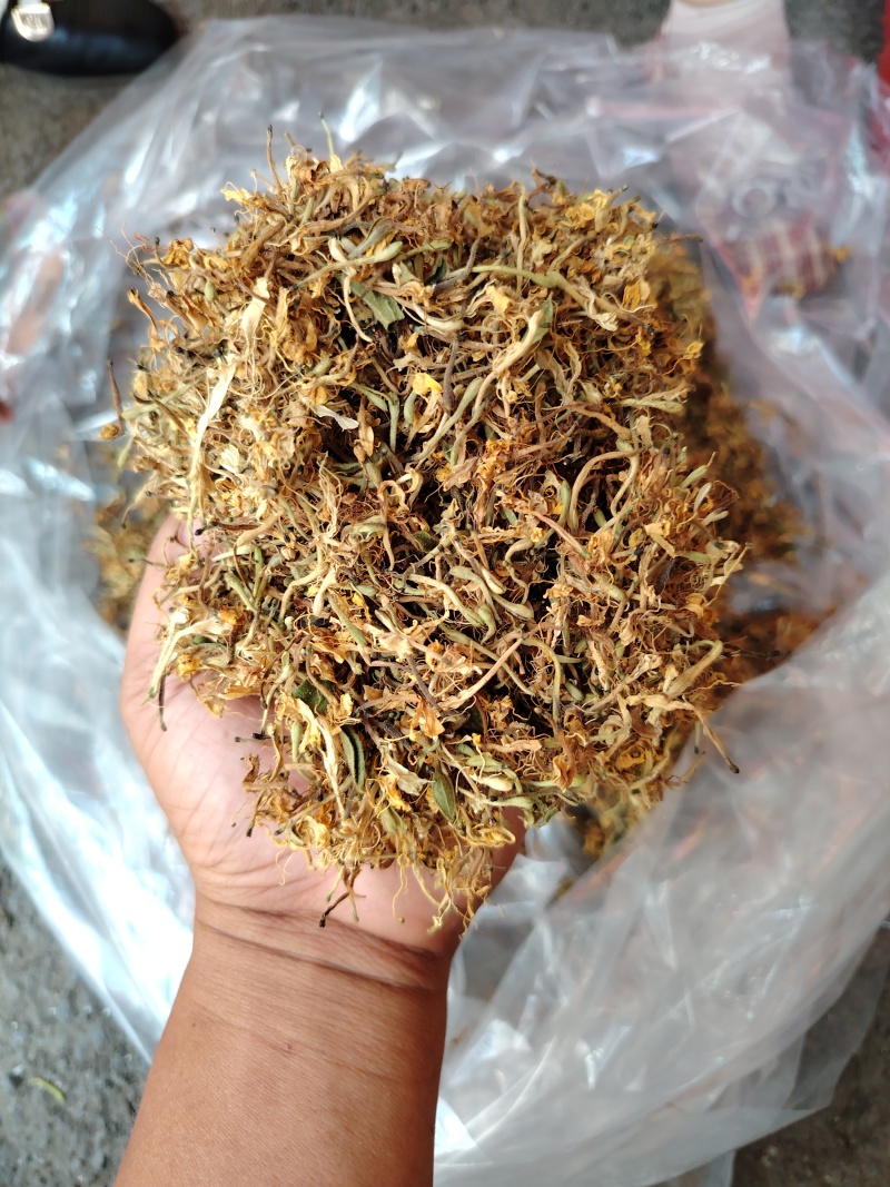 贵州金银花，晒花无硫，味香，己人工筛选