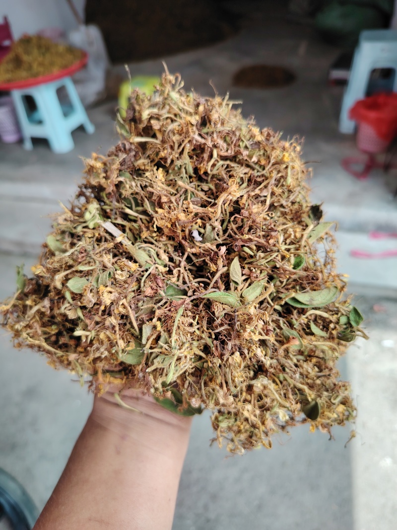 贵州金银花山银花，无硫，晒花，货足，质量保证