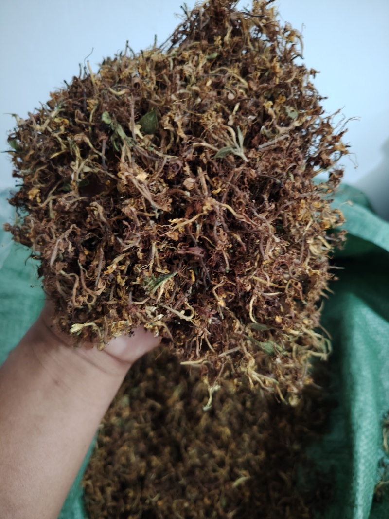 贵州金银花一级花蕾色青无硫味香杂质少
