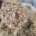 贵州金银花一级花蕾色青无硫味香杂质少