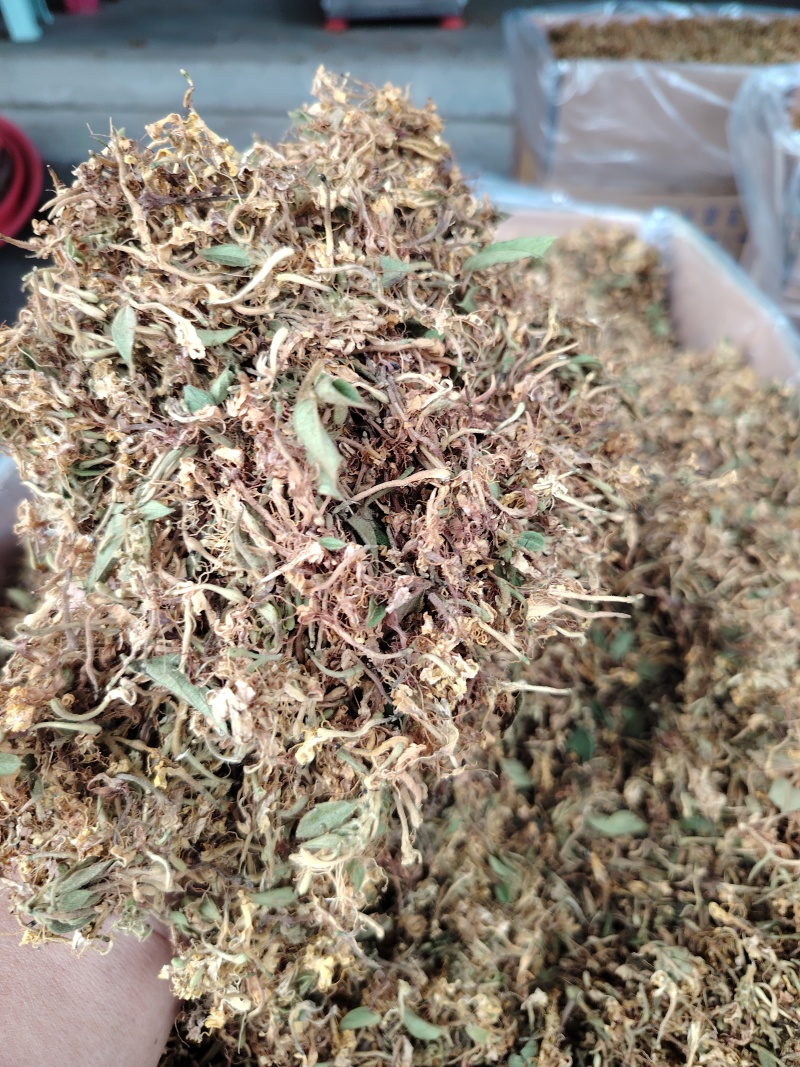 贵州金银花一级花蕾色青无硫味香杂质少