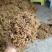 贵州金银花一级花蕾色青无硫味香杂质少